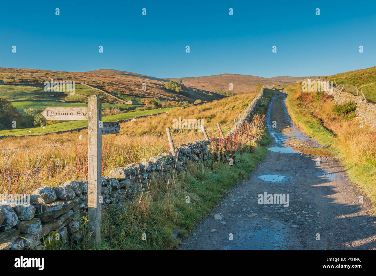 Yorkshire Dales National Park paysage d'automne, le Pennine Way sentier longue distance vers Shunner ont chuté, Swaledale Grand, UK en automne Sunshine Banque D'Images