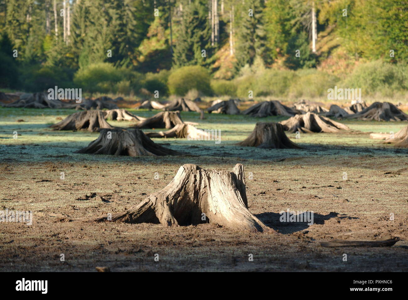 Le fond du lac à sec Banque D'Images