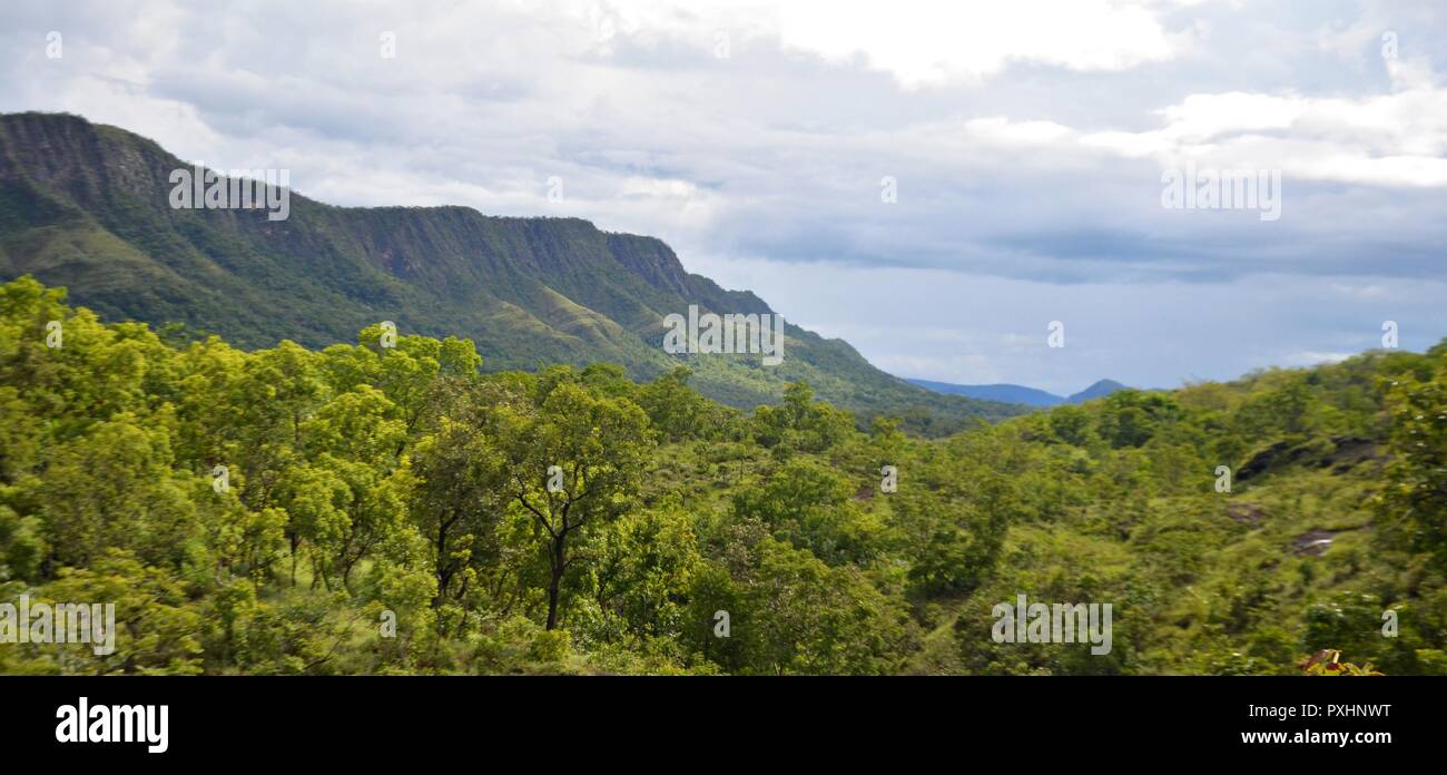 La Fotografias ; Natureza, vida selvagem, prédios históricos, paisagens e culturas da America do Sul. Banque D'Images