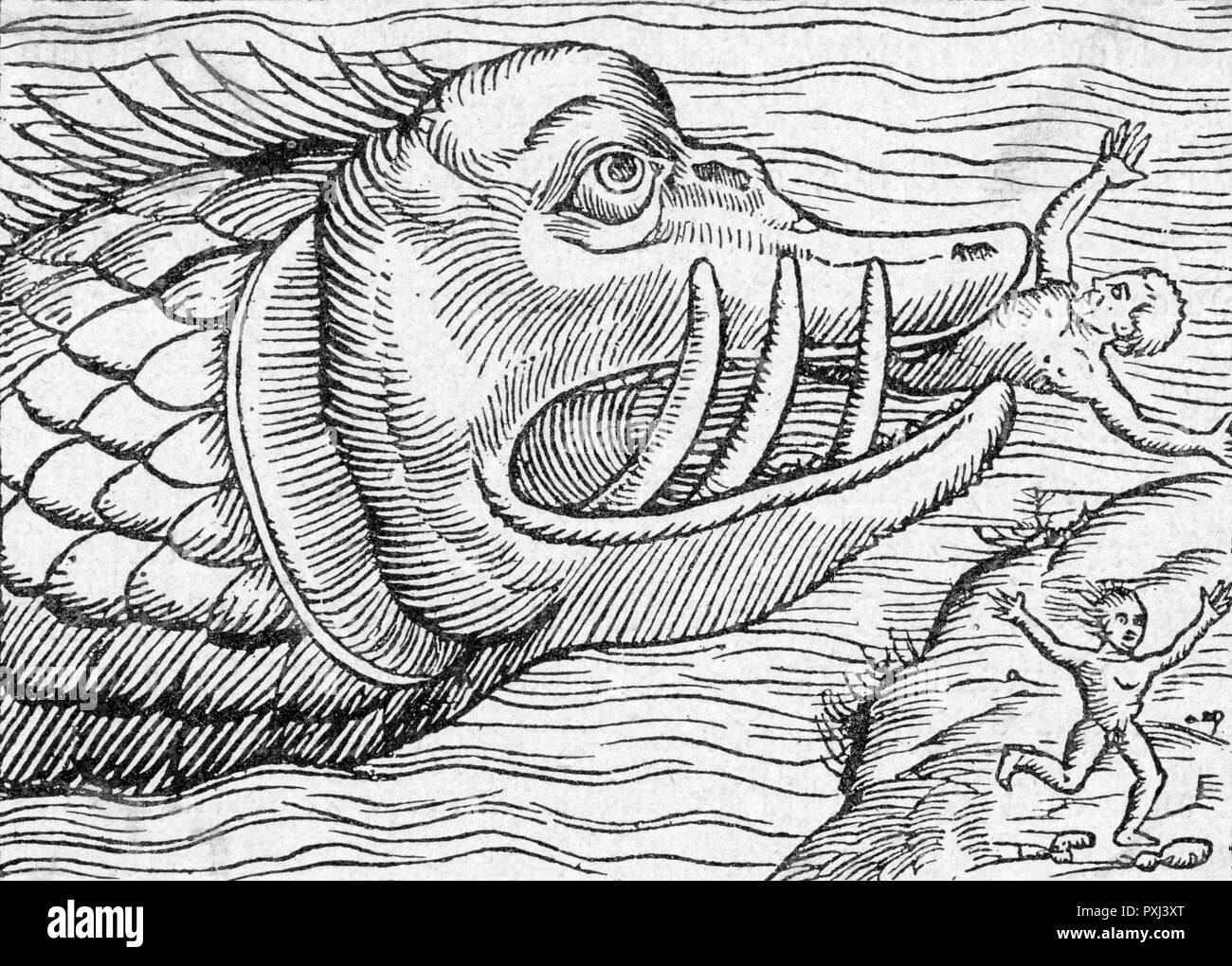 Monstres marins Banque d'images noir et blanc - Alamy