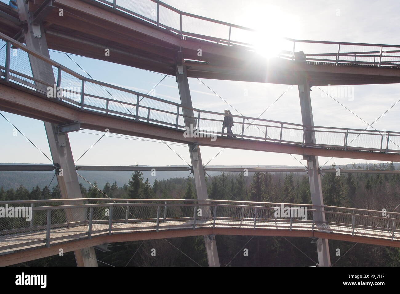 Tree Top walk, Bad Wildbad, forêt noire, Allemagne Banque D'Images