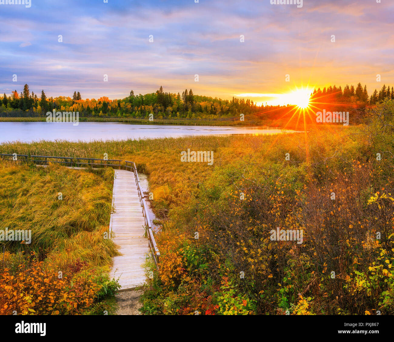 Coucher du soleil sur l'automne Ominik Marsh Boardwalk Trail, Parc national du Mont-Riding, Manitoba, Canada. Banque D'Images