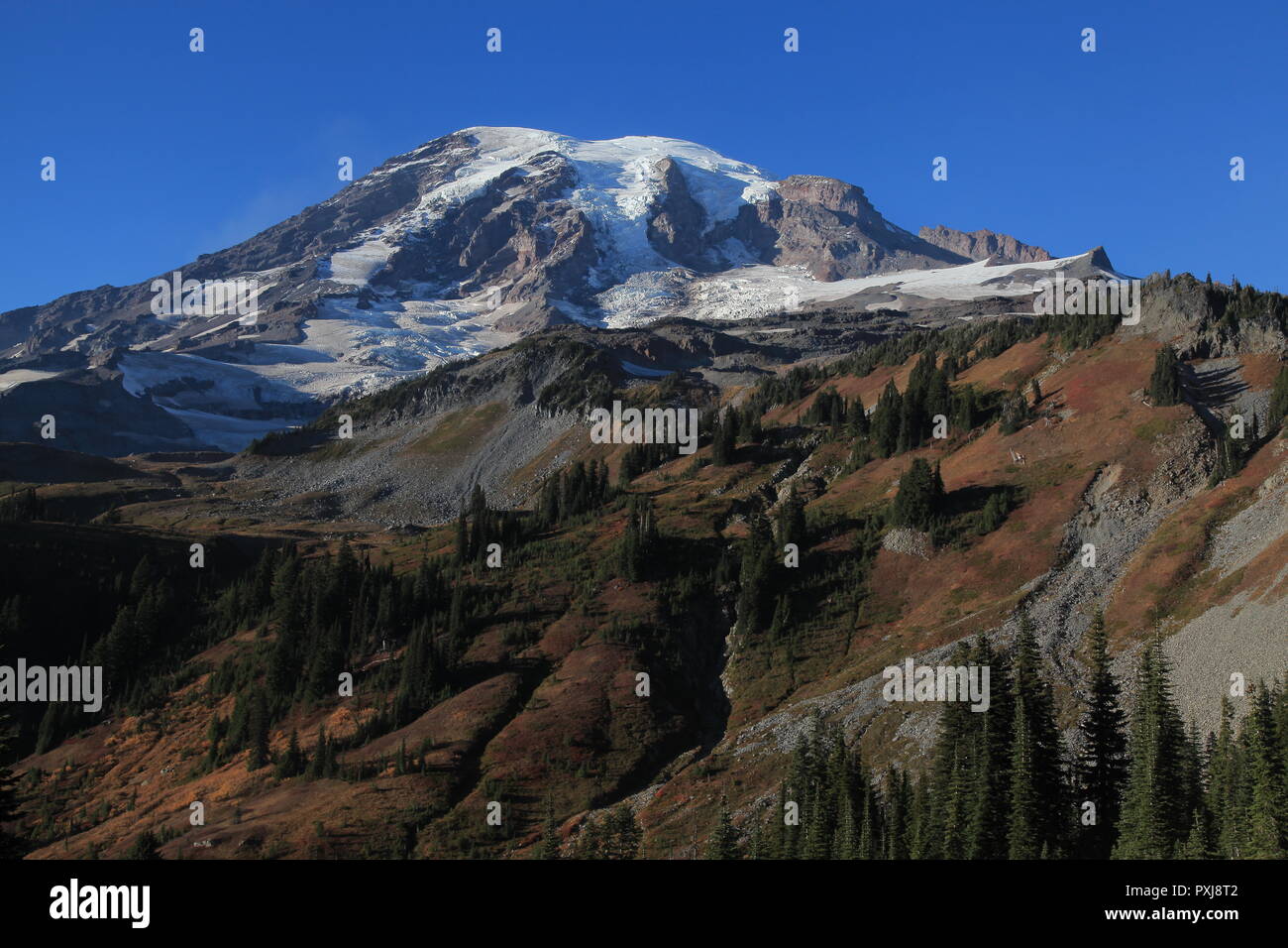 Paradis à Mt Rainier Banque D'Images