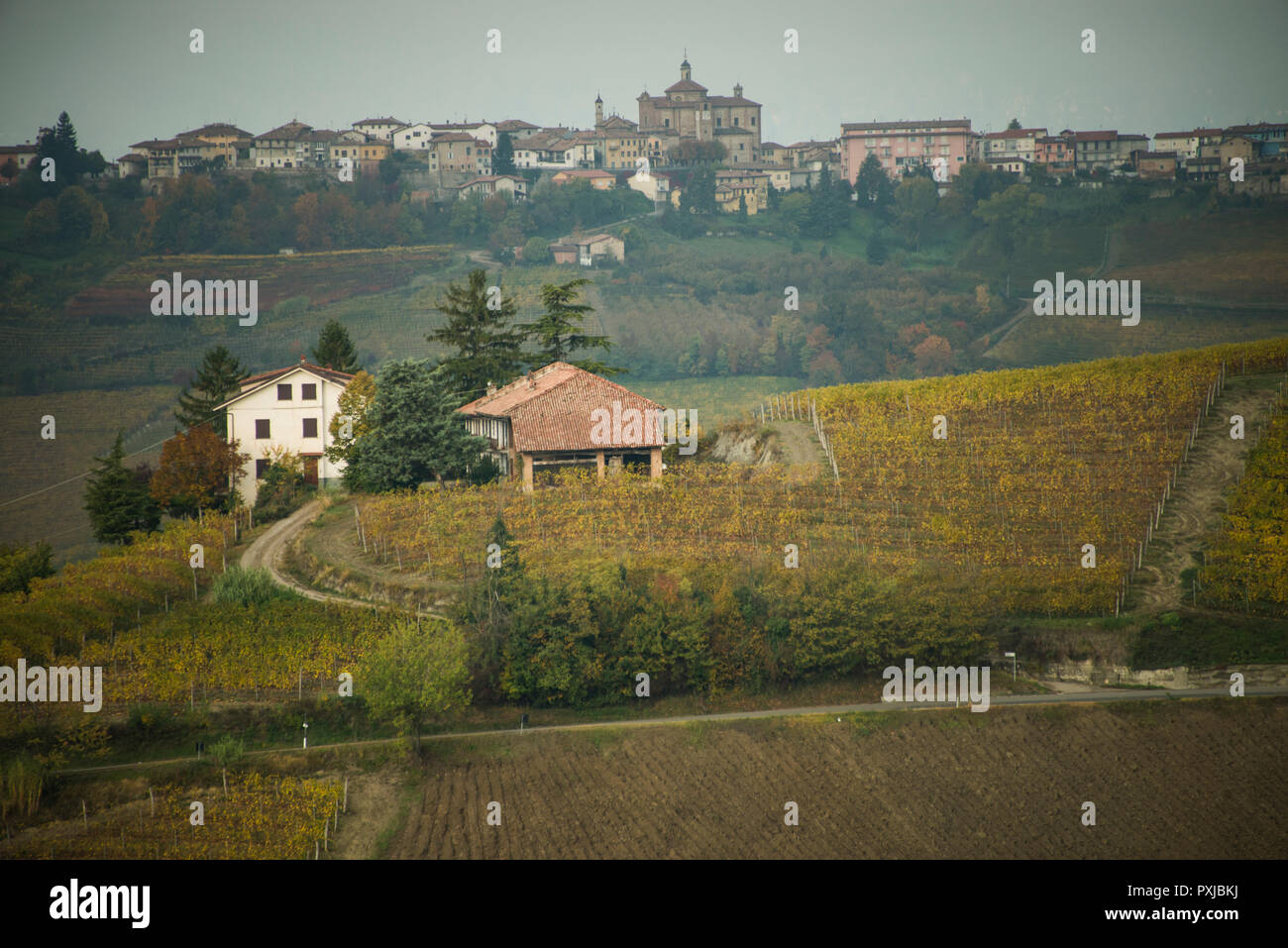 À l'ouest de Monforte d'Alba, Cuneo, dans le Piémont, Italie sur les collines et vignobles Banque D'Images