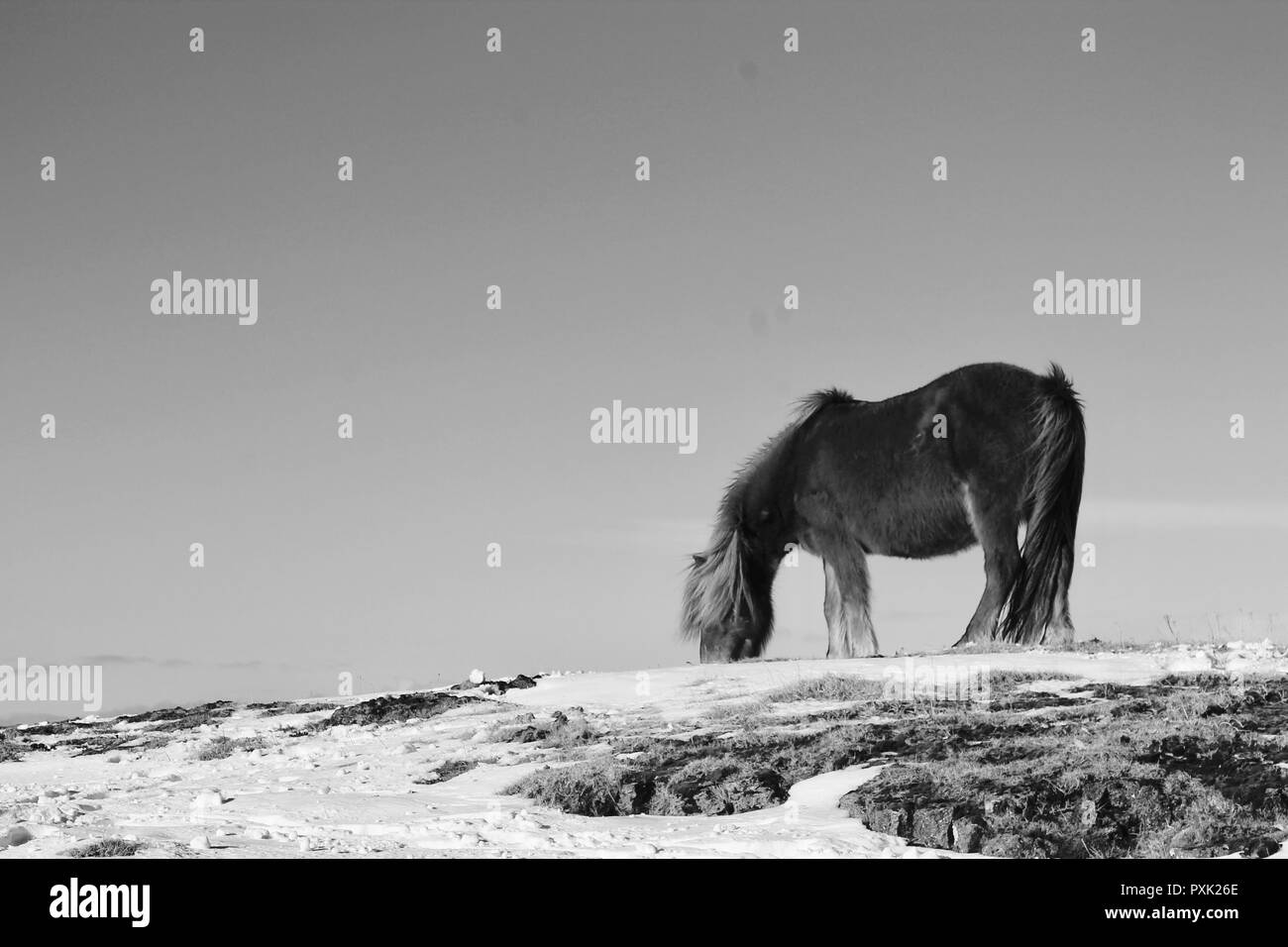 Calèche sur la colline Banque D'Images