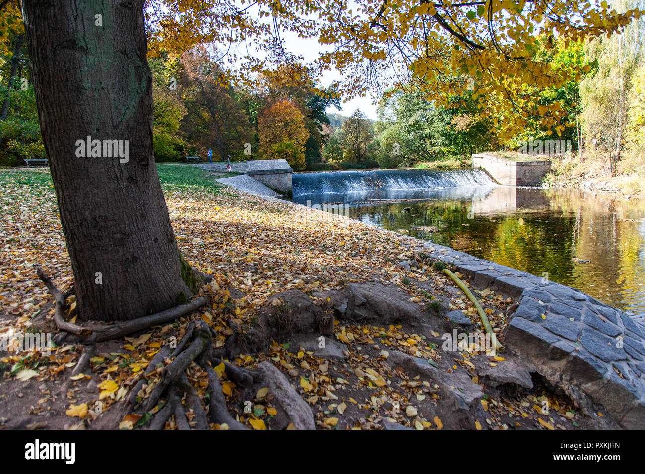 Viktorčin Babiččino splav, Ratibořice, údolí, Česká republika / weir sur la rivière Upa, Ratiborice, la région de Bohême de l'Est, République Tchèque Banque D'Images