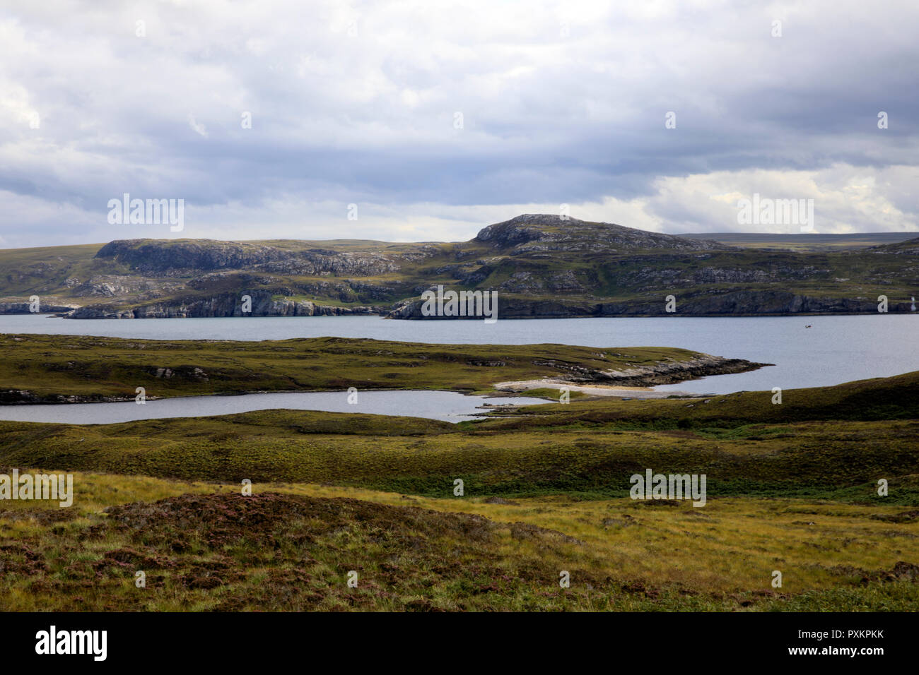 Paysage typique de l'Ecosse, Ecosse, Highlands, Royaume-Uni Banque D'Images