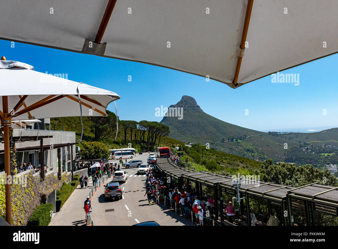 Mountain Lions Head, Table Mountain, Cape Town, Afrique du Sud Banque D'Images