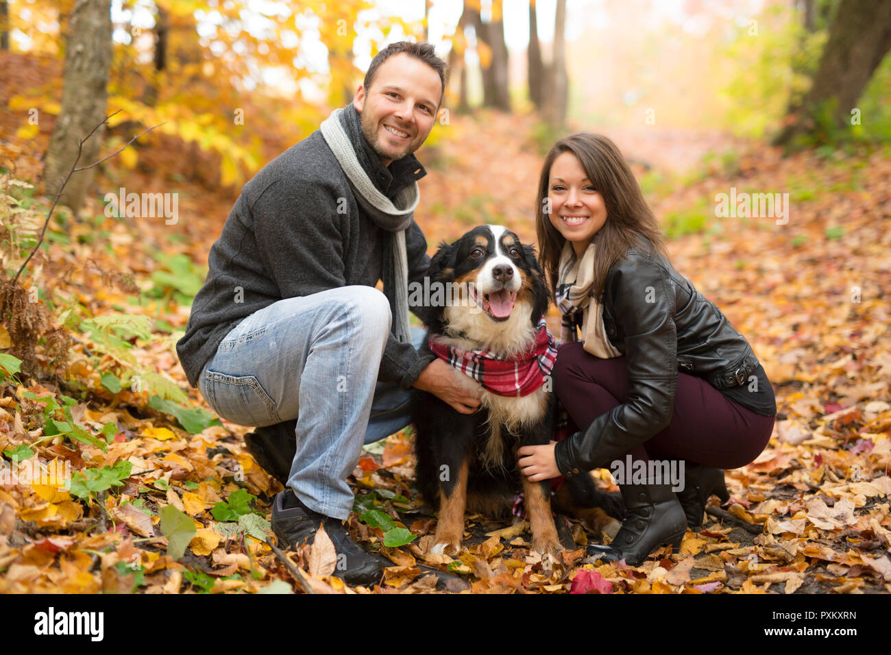 Un couple avec son chien dans le parc de l'automne. Bernois Banque D'Images