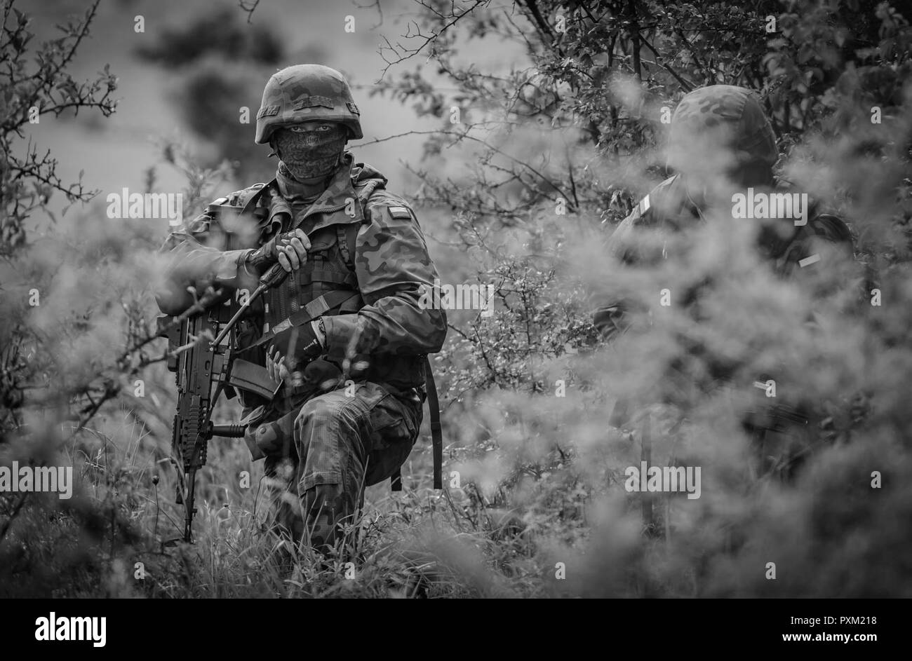 11 juin 2017, les soldats de l'armée polonaise et roumaine a procédé mécanisé de faible niveau de formation, y compris des exercices d'IED et de l'air à des agressions des Chinook de l'armée américaine. MoD Crown Copyright Banque D'Images