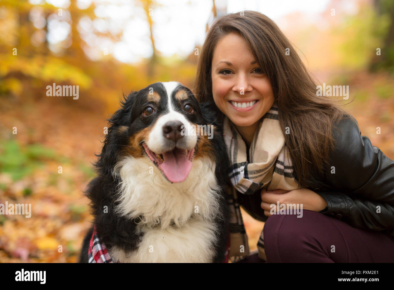 Fille mignonne avec son chien dans le parc de l'automne. Bernois Banque D'Images