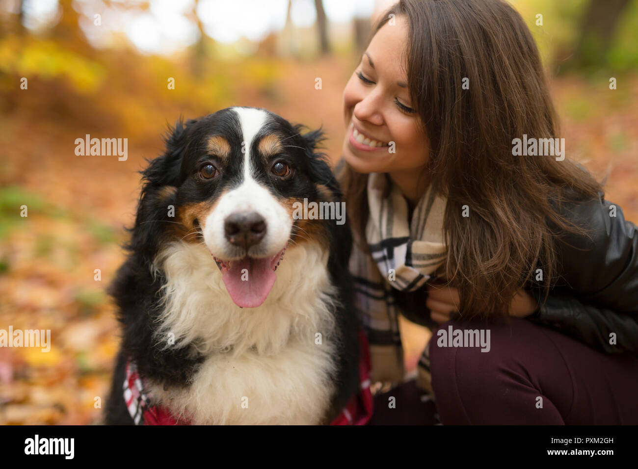 Fille mignonne avec son chien dans le parc de l'automne. Bernois Banque D'Images