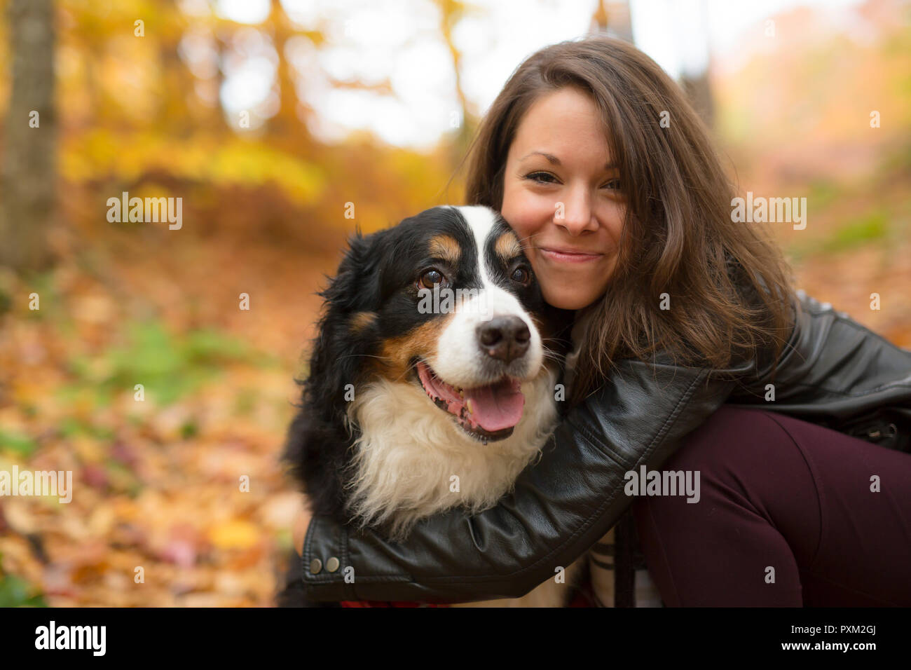 Fille mignonne avec son chien dans le parc de l'automne. Bernois Banque D'Images