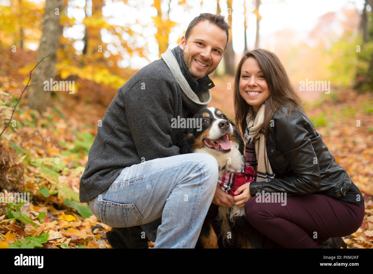Couple avec son chien dans le parc de l'automne. Bernois Banque D'Images