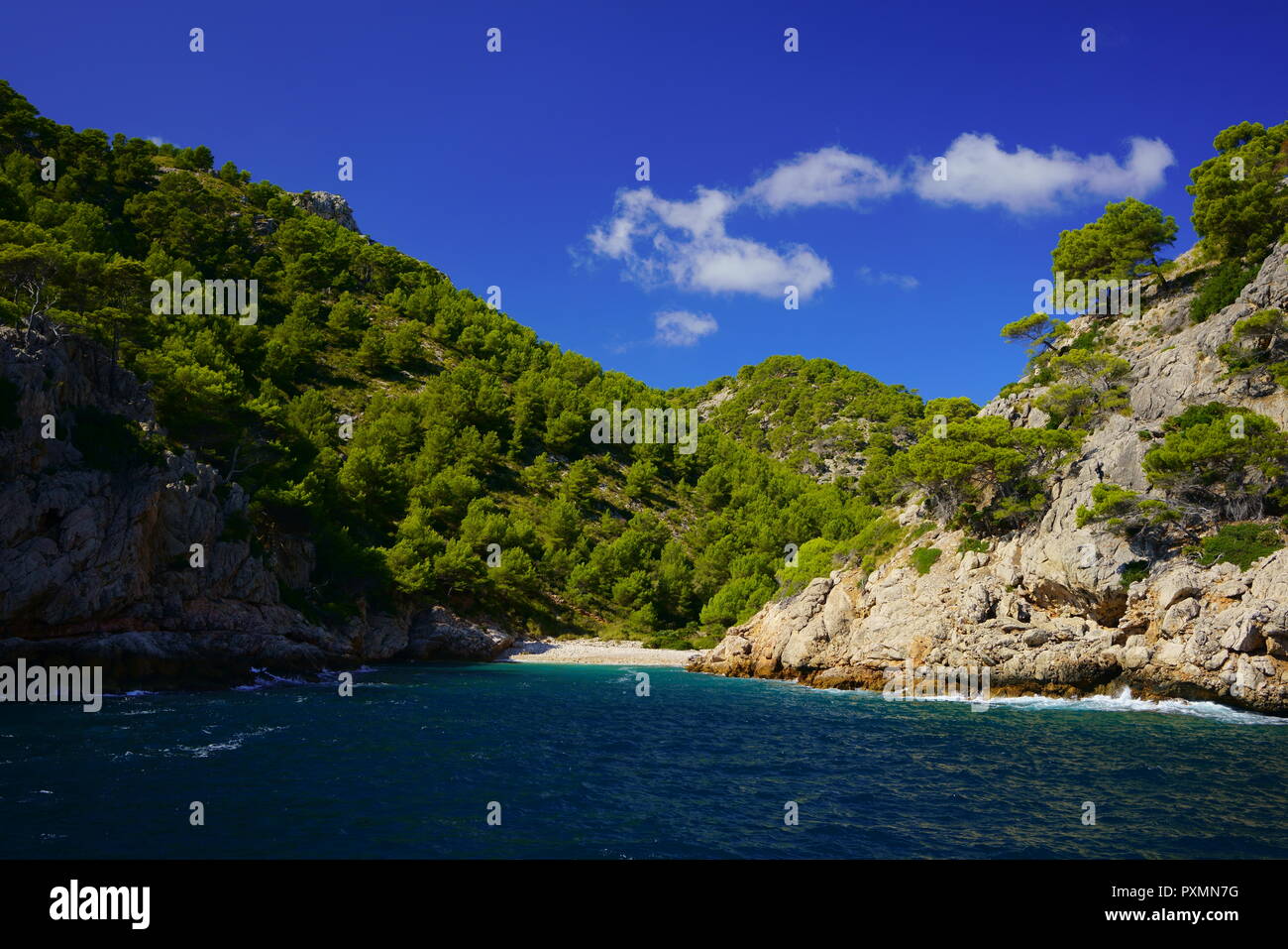 Un solitaire, naturelle et plage paradisiaque, dans le nord de Majorque. Cala en Feliu près de Cala Murta, Port de Pollensa, Majorque, Iles Baléares, Espagne. Banque D'Images
