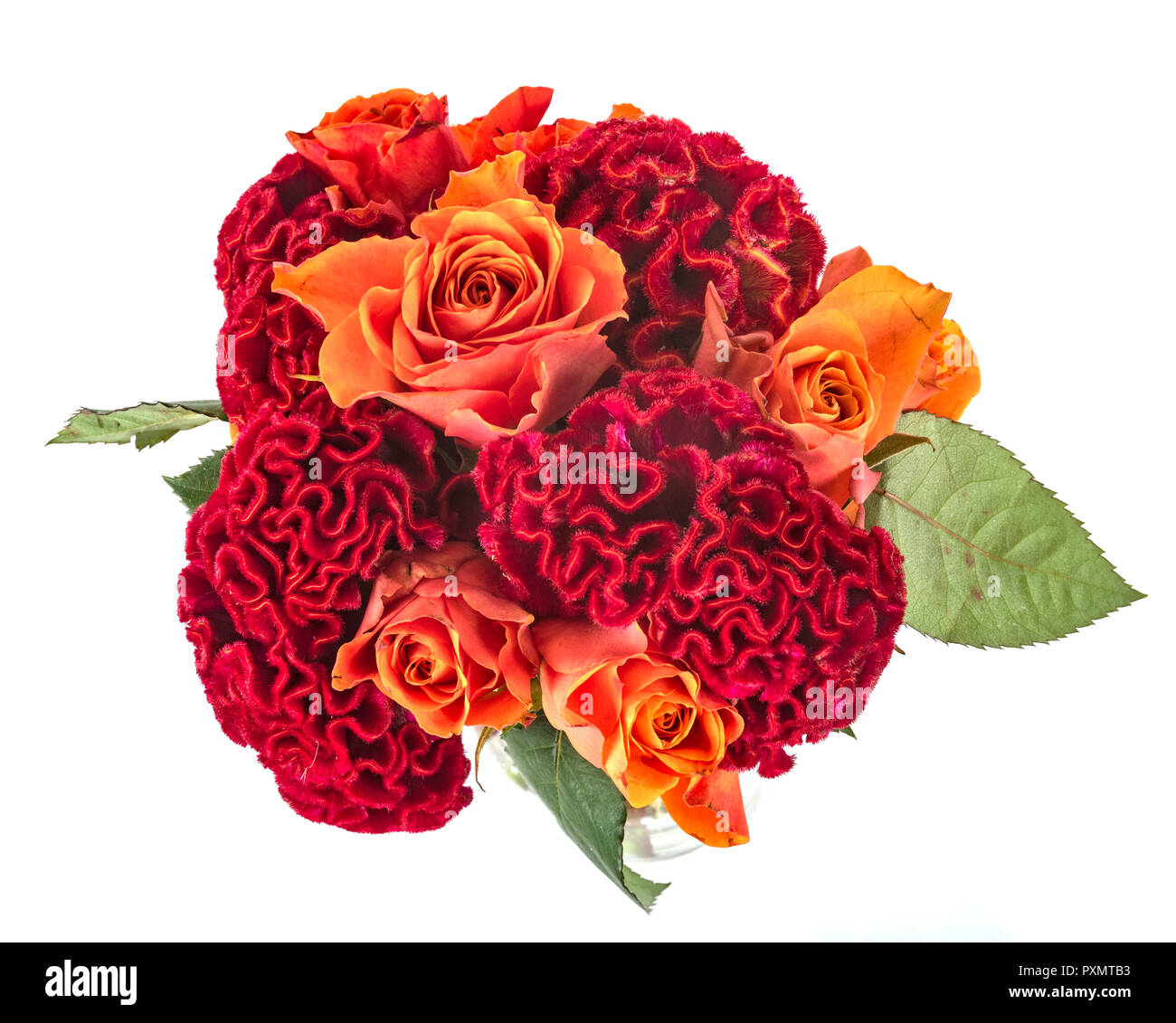 Bouquet coloré in front of white background Banque D'Images