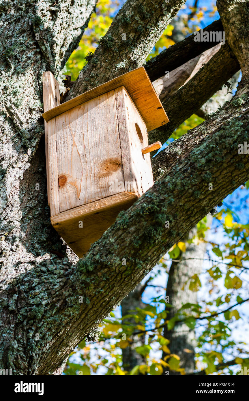 Les cabanes comme celle-ci vous pouvez trouver beaucoup de Lituanie. Peuple lituanien aime la nature, la faune et la flore. Ils se soucient de l'harmonie entre l'homme et la na Banque D'Images