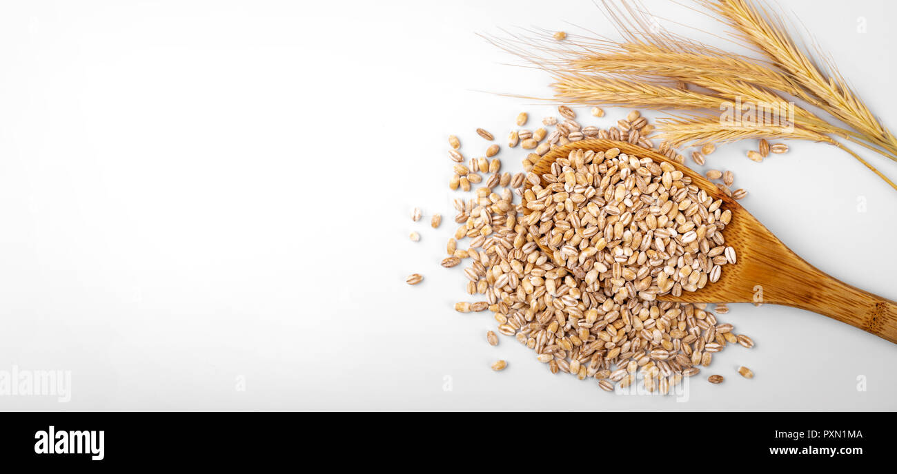 Les grains d'orge sur fond blanc avec copie espace Banque D'Images