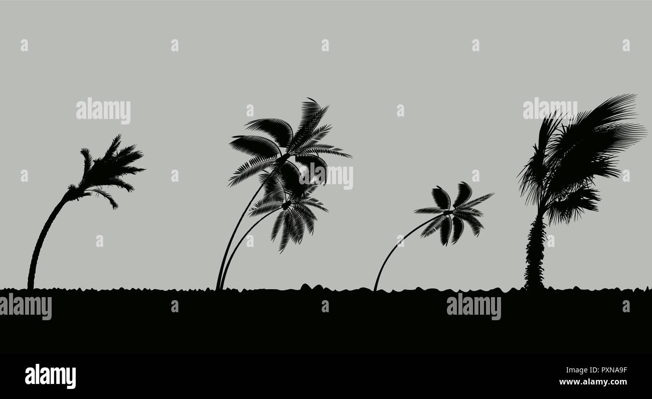 Palmiers au cours de tempête et l'ouragan. Laisse voler à travers le ciel d'une tempête. Vector Illustration Illustration de Vecteur