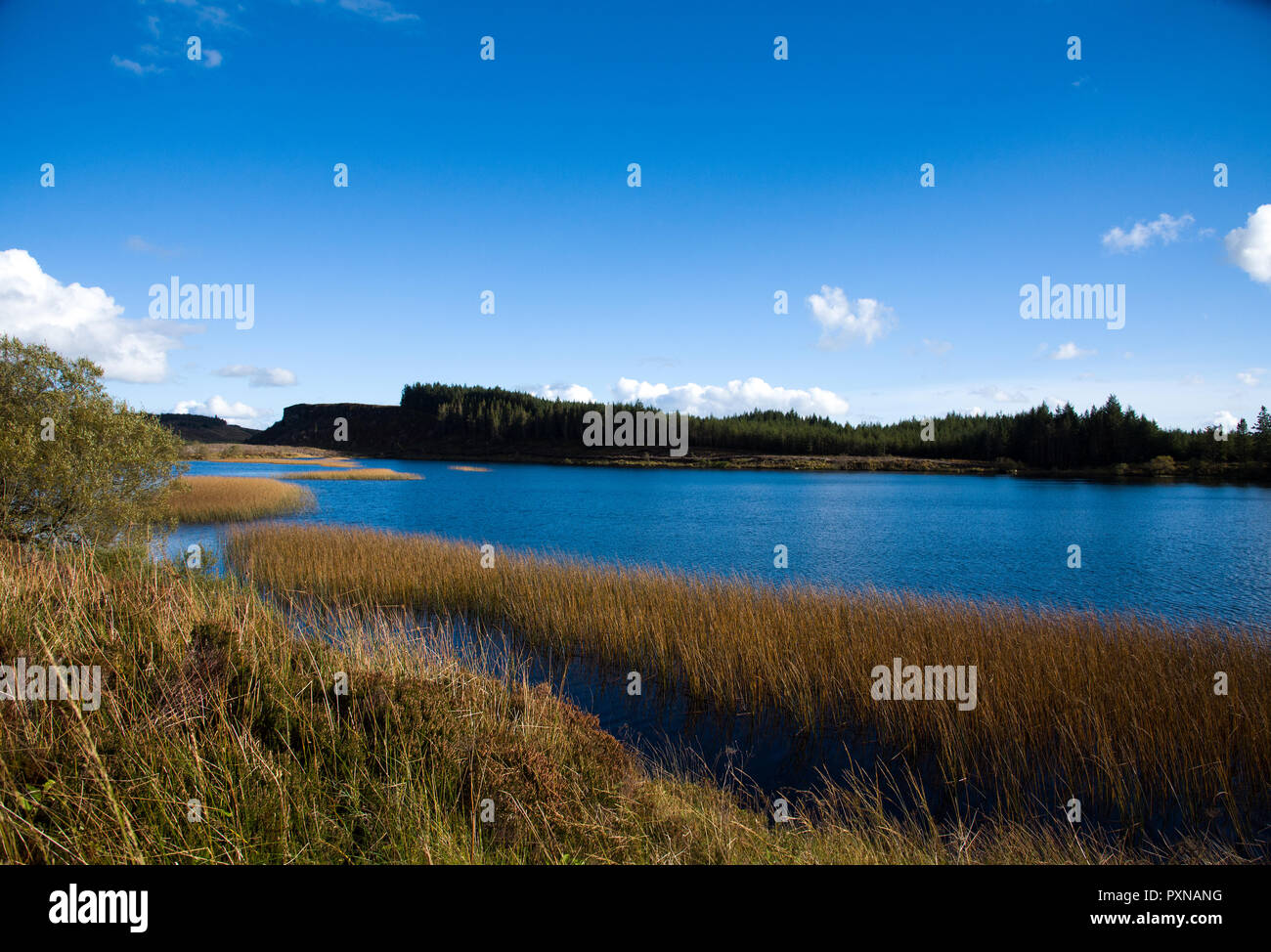 Vue panoramique sur le lac Lough Navar dans Meenameen dans Forêt Co. fermanagh, Irlande du Nord Banque D'Images