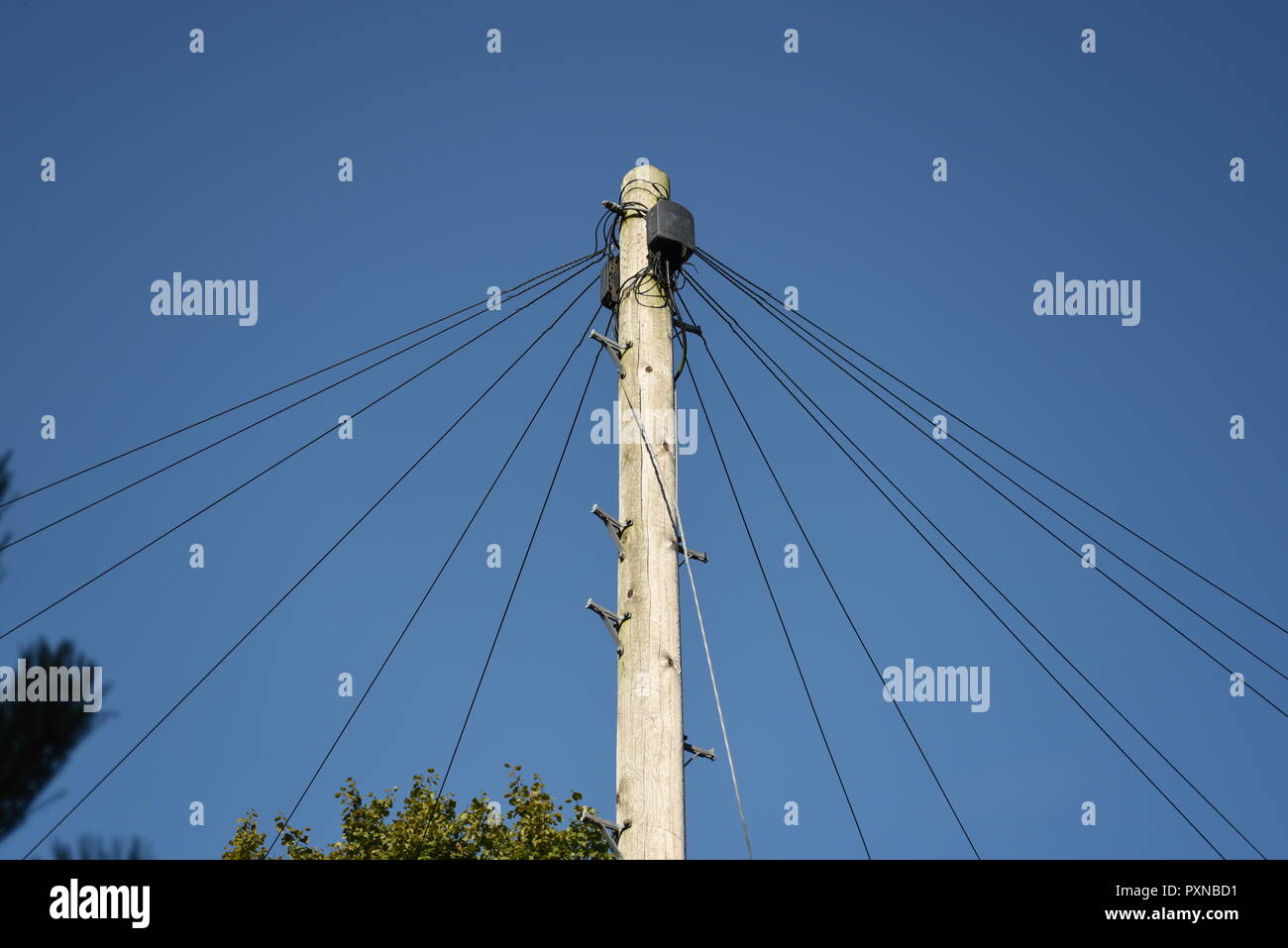 Poteau de téléphone et du câble, Banque D'Images
