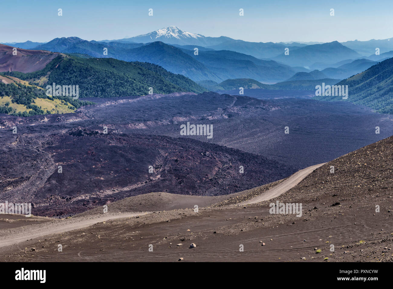 Volcan Tolhuaca, Réserve nationale du Malalcahuello-Nalcas, région d'Araucania, Chili Banque D'Images