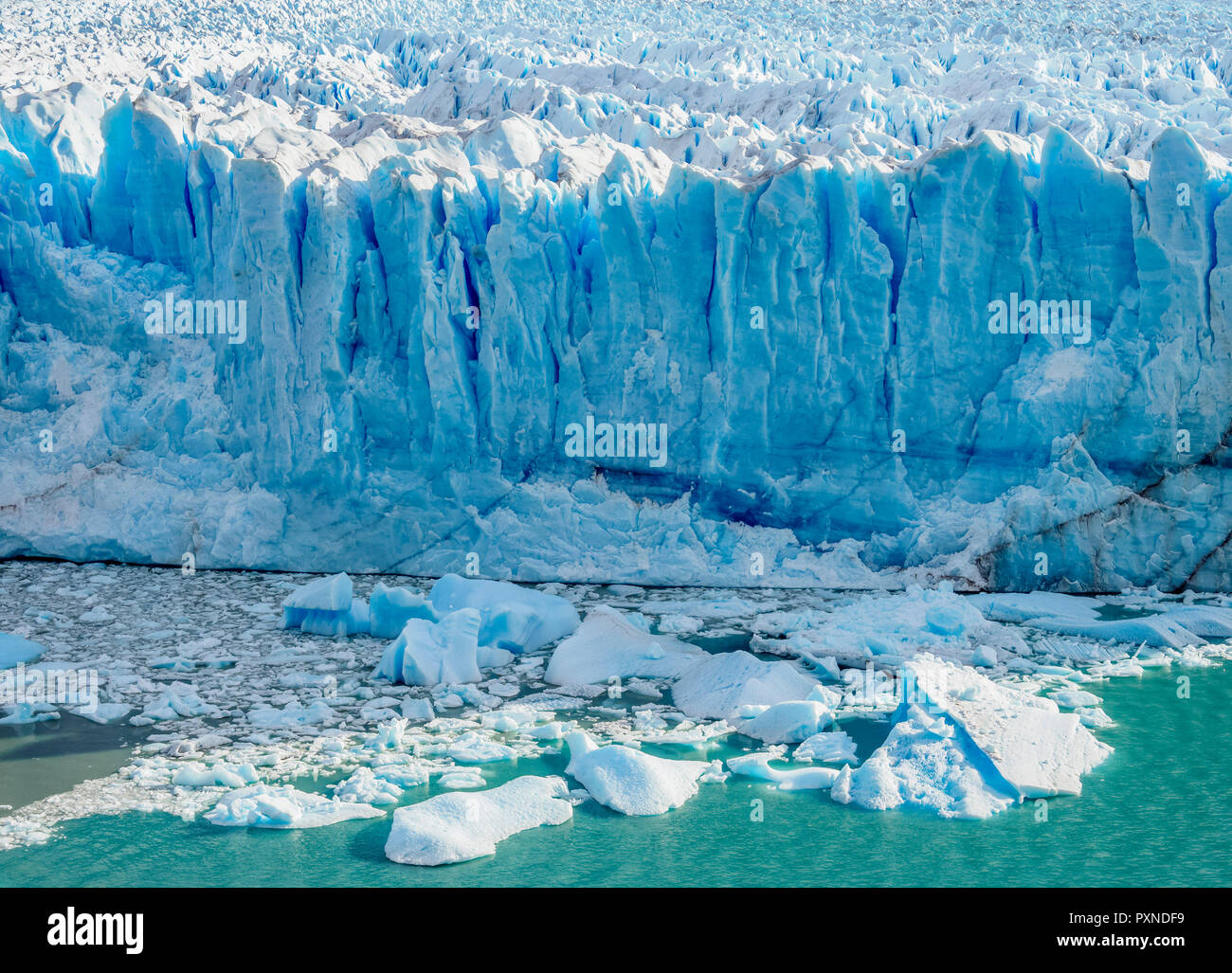 Perito Moreno Glacier View, le Parc National Los Glaciares, Province de Santa Cruz, Patagonie, Argentine Banque D'Images