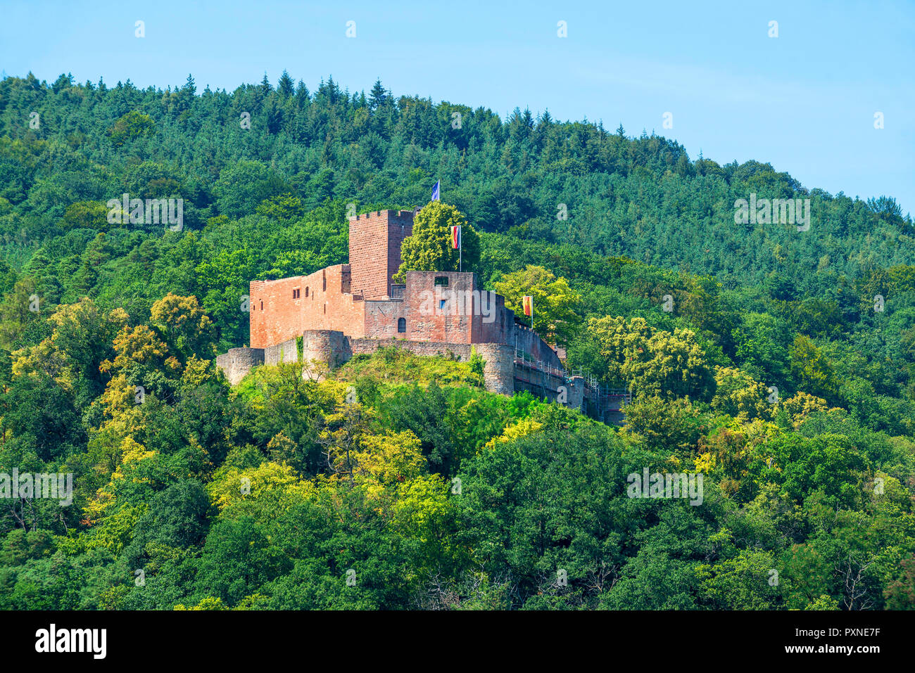 Château de Landeck, KlingenmÃ¼nster WeinstraÃŸe, Deutsche, Rhénanie-Palatinat, Allemagne Banque D'Images