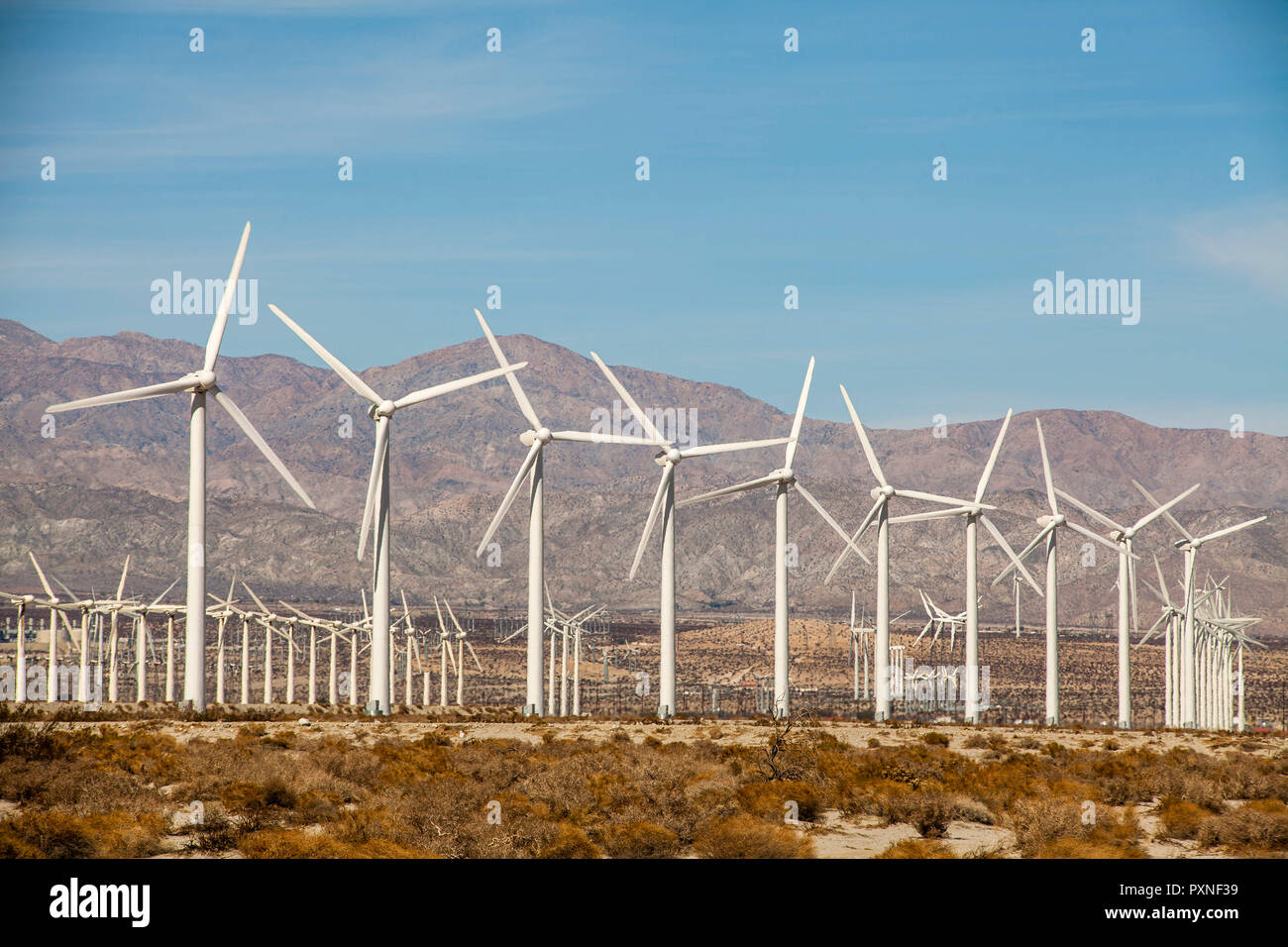 Le Comté de Riverside, en Californie, aux États-Unis. Le Col de San Gorgonio Wind Farm dans le Comté de Riverside, Californie, États-Unis Banque D'Images