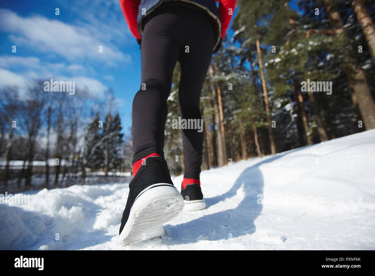 Les jambes de la sportive en leggins noir et de chaussures jogging le snowpath en forêt d'hiver Banque D'Images