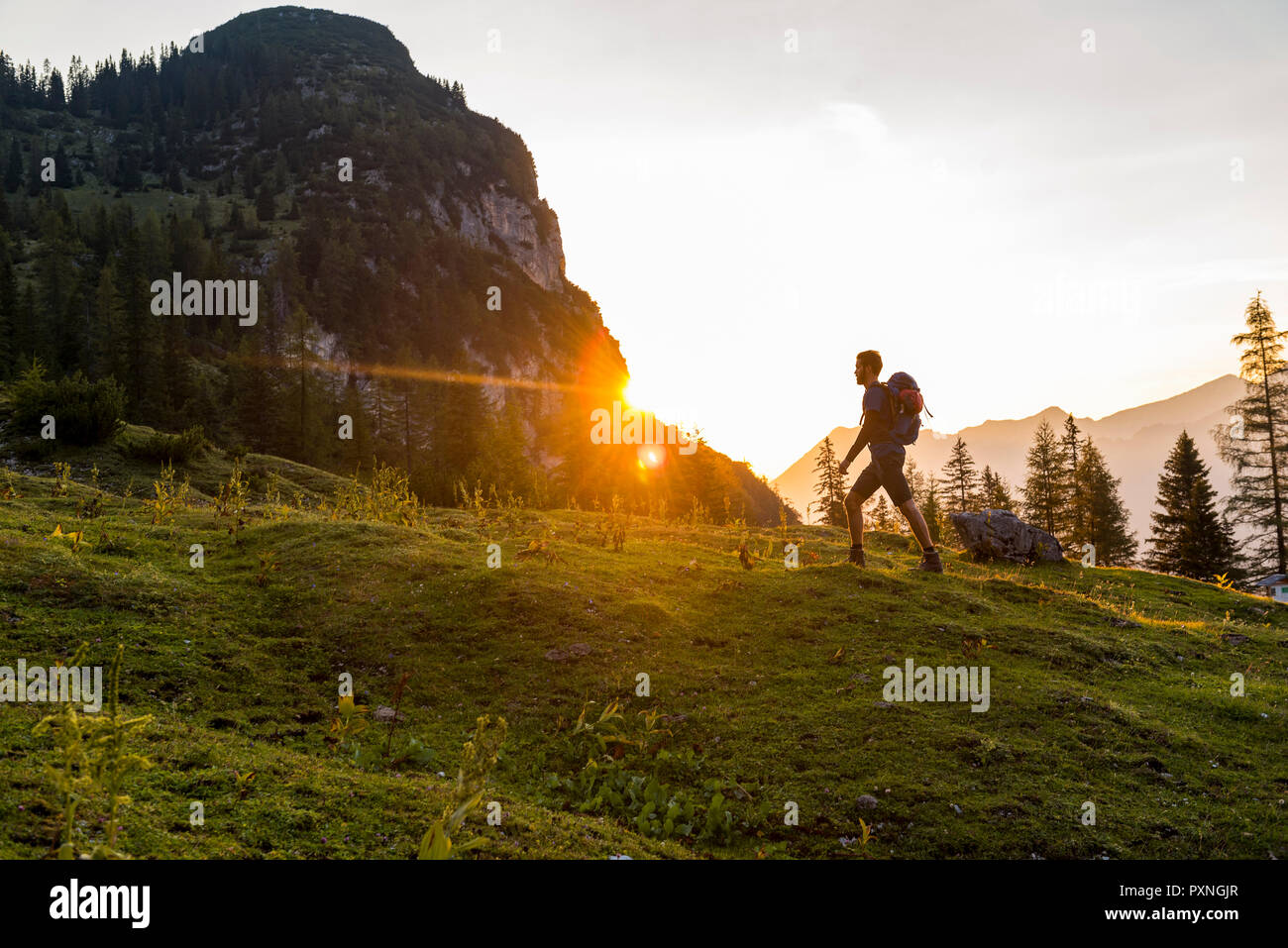 Autriche, Tyrol, Hiker with backpack hiking in meadow au coucher du soleil Banque D'Images
