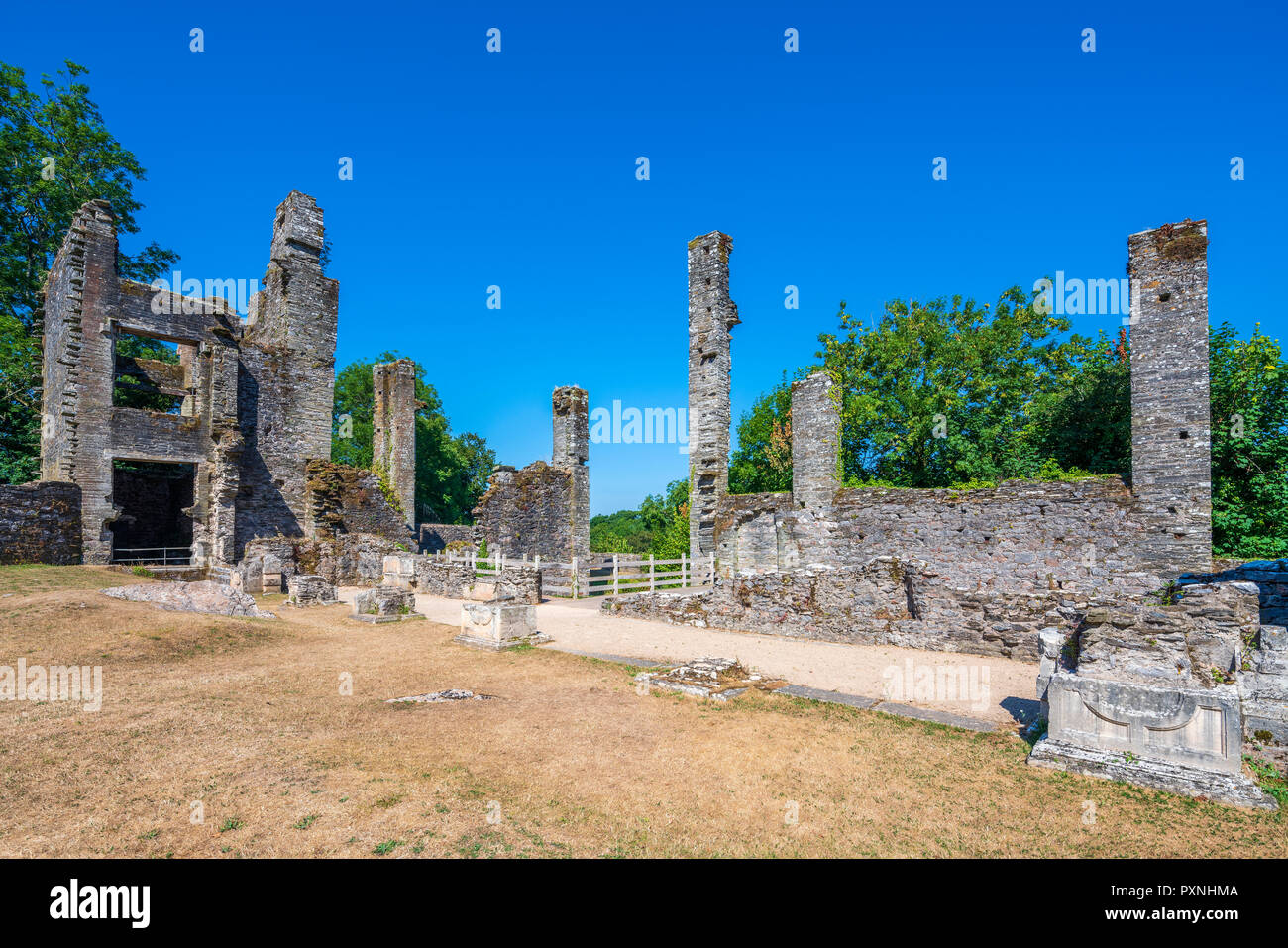 Berry Pomeroy Château, Devon, Angleterre, Royaume-Uni, Europe Banque D'Images