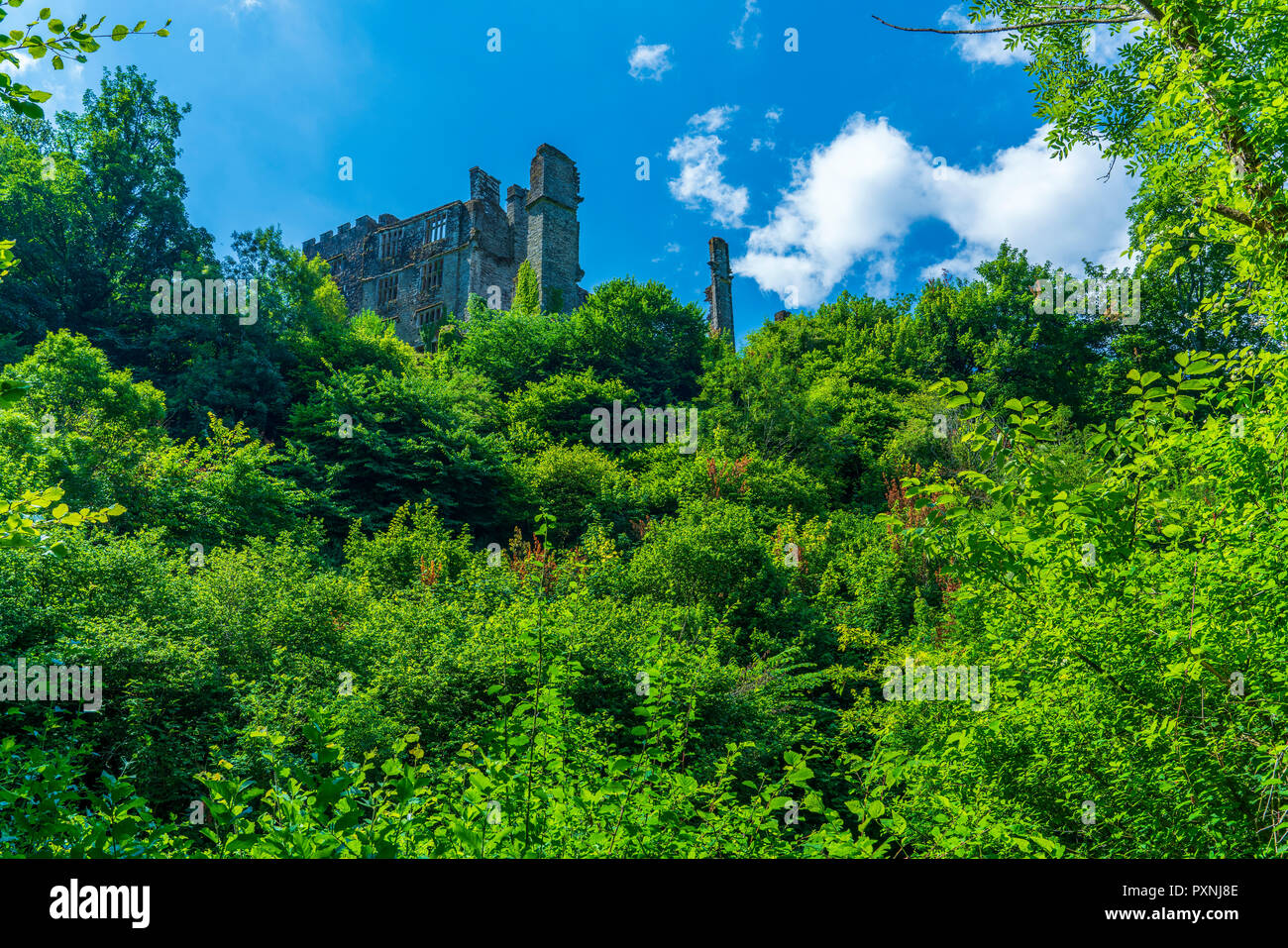 Berry Pomeroy Château, Devon, Angleterre, Royaume-Uni, Europe Banque D'Images