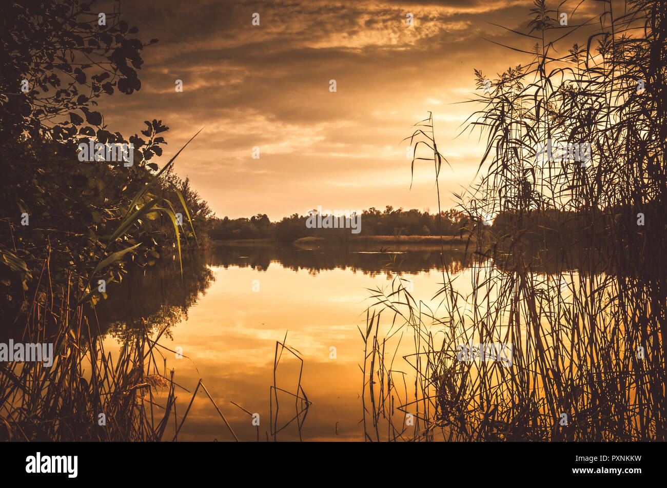 Coucher de soleil sur un delta de fleuve à l'automne. Soirée d'automne paysage d'un lac entouré de roseaux et de paille Banque D'Images