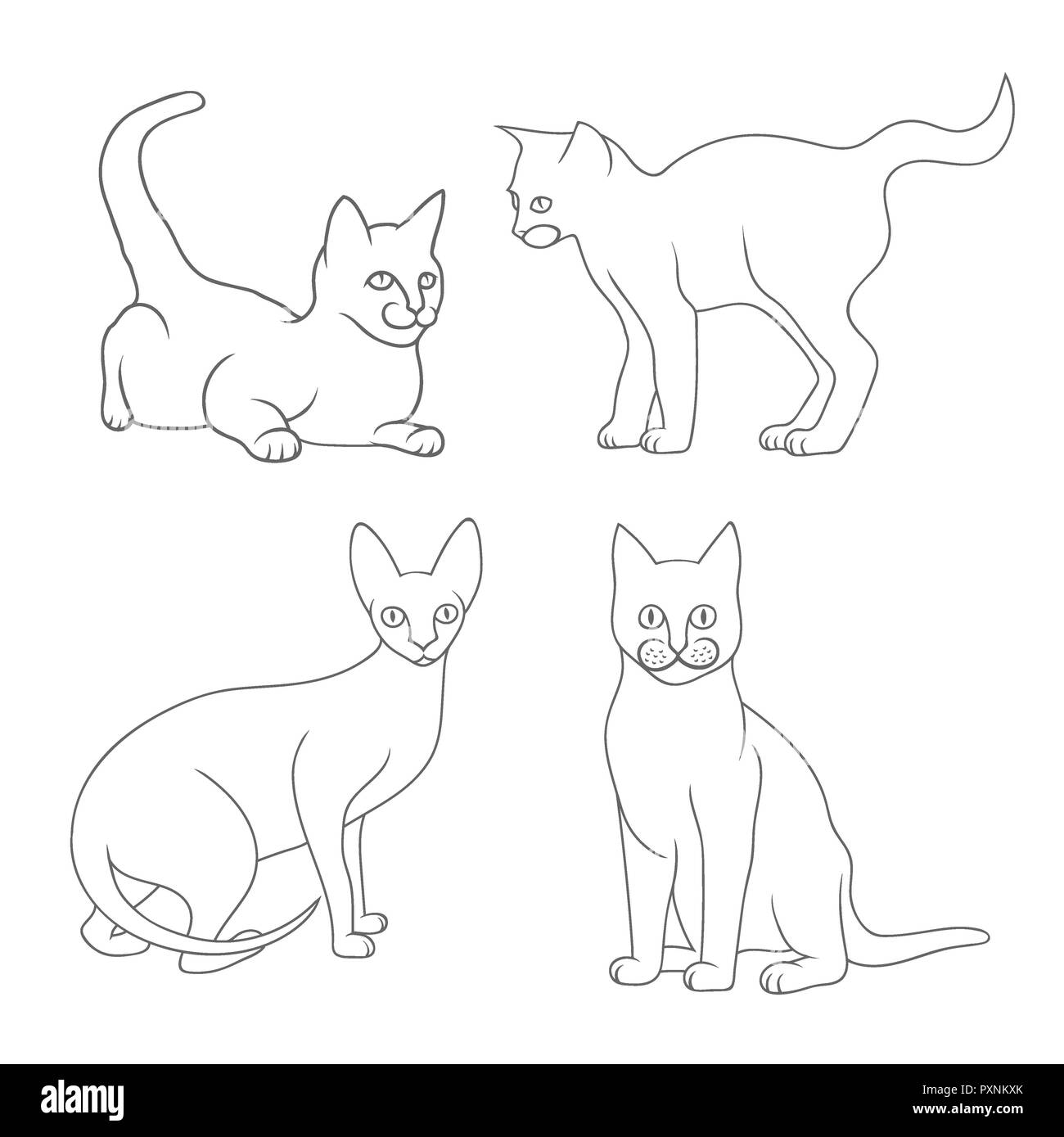 Jeu de chat avec mère chatons - hand drawn illustration, isolated on white Banque D'Images