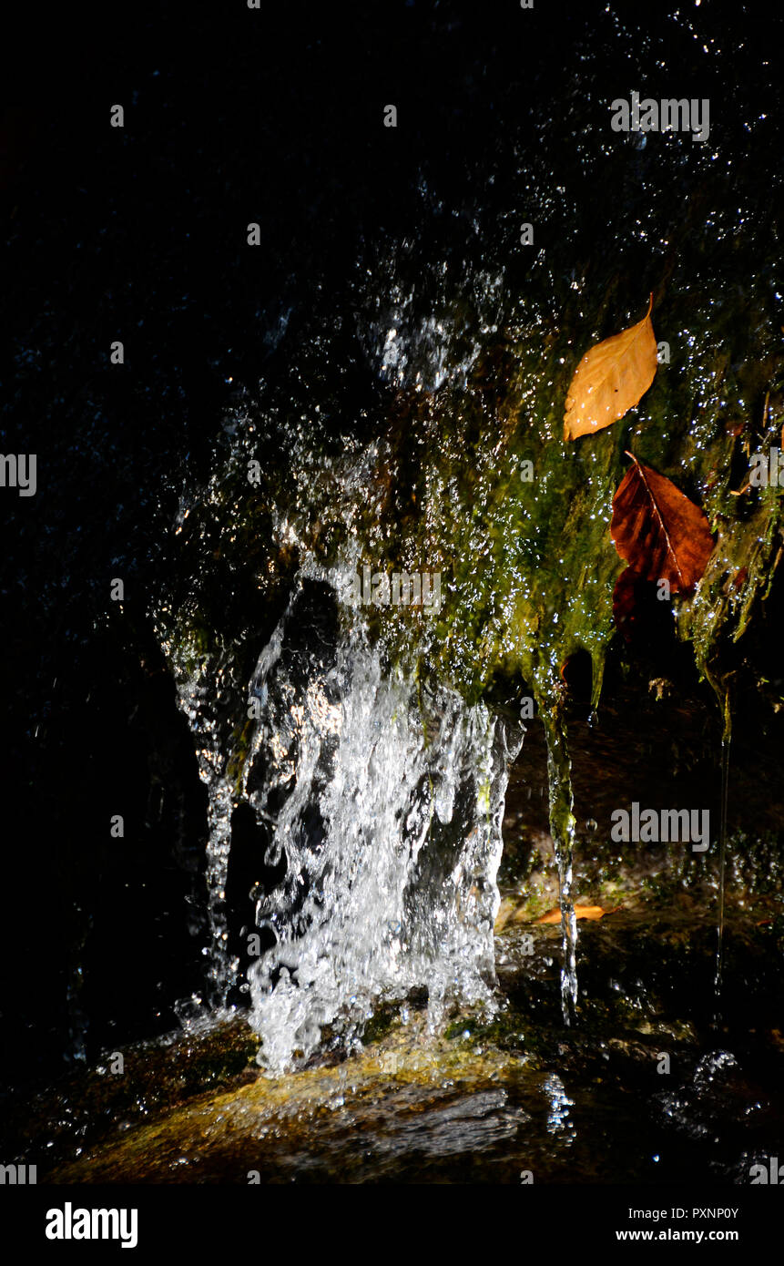 Chute d'automne, les feuilles et les roches en Thones, Savoie, France Banque D'Images