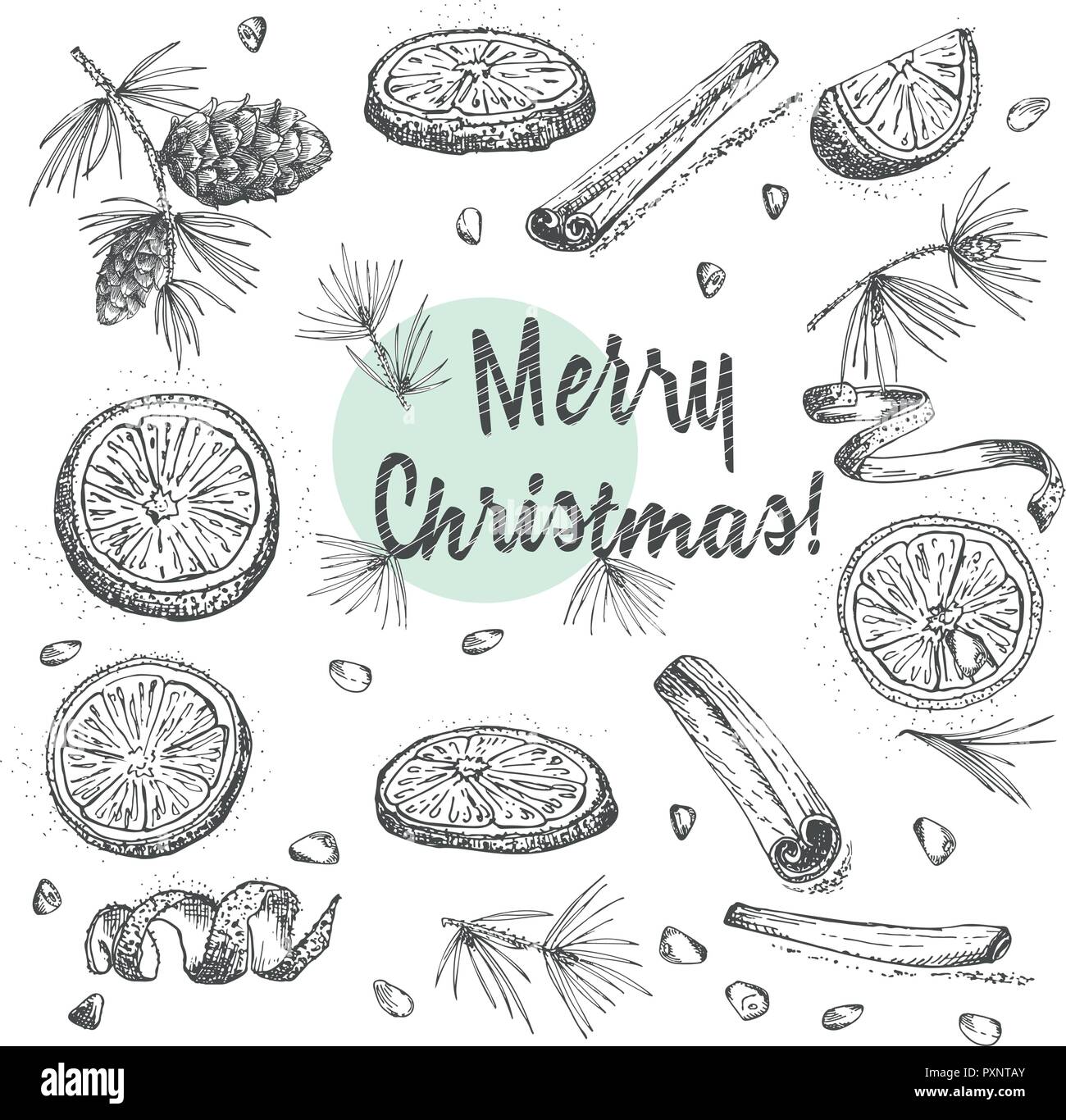 Ensemble d'épices d'hiver noël dessiné à la main. Utilisé traditionnellement en desserts maison, vin chaud, biscuits maison. Illustration de Vecteur