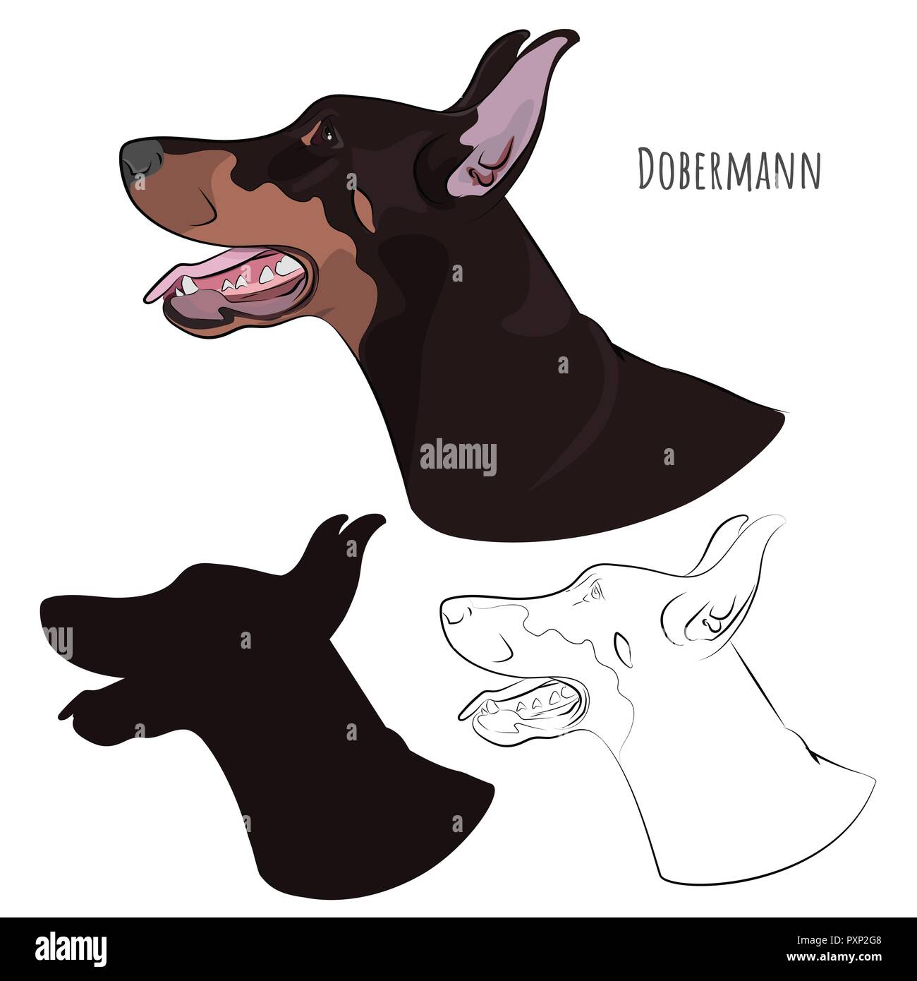 Dobermann haletant avec la langue. Profil de chien pour votre conception. Dobermann chef isolé sur fond blanc. Silhouette, croquis. Illustration de Vecteur