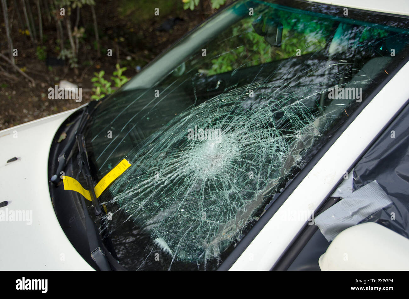 Le bris de pare-brise sur la voiture avec une amende Banque D'Images Le bris de pare-brise sur la voiture avec une amende Banque D'Images