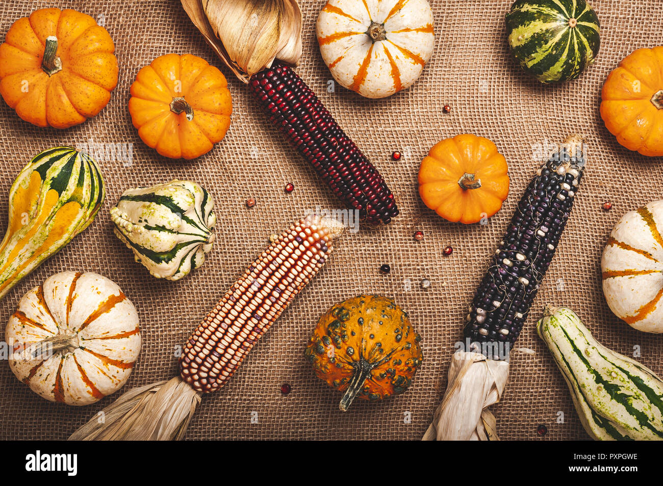 Les courges décoratives, le maïs et les citrouilles sur un fond de toile brune. Banque D'Images