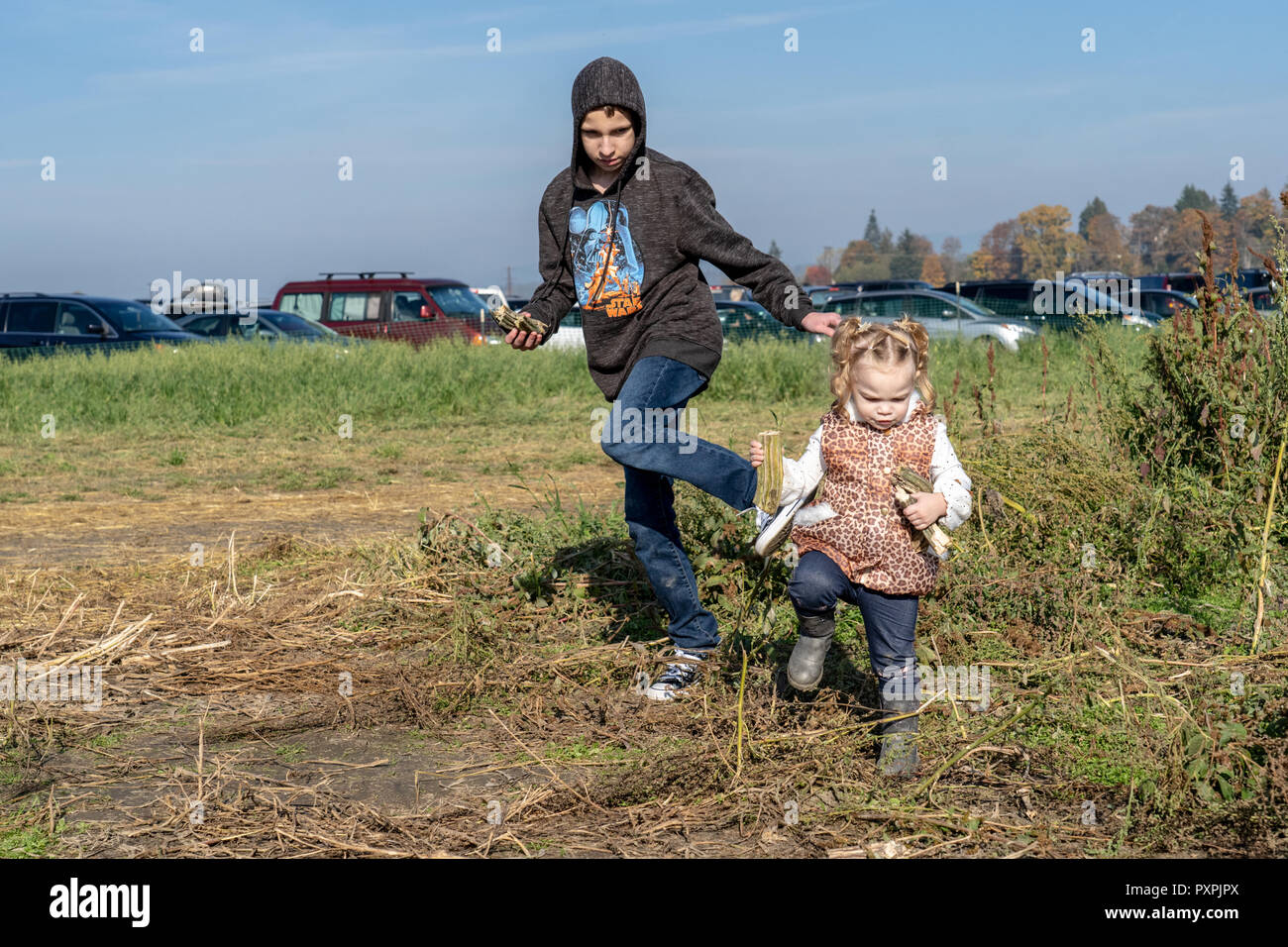 Teenage boy essayant de corral sa sœur âgée de 23 mois, avec les deux pieds dans les vignes dans la citrouille. Banque D'Images