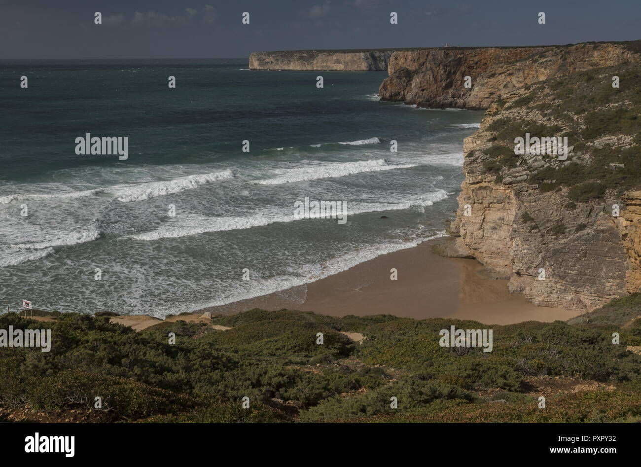 Falaises et Cove à Cape St Vincent, Cabo Sao Vicente, Algarve, Portugal Banque D'Images