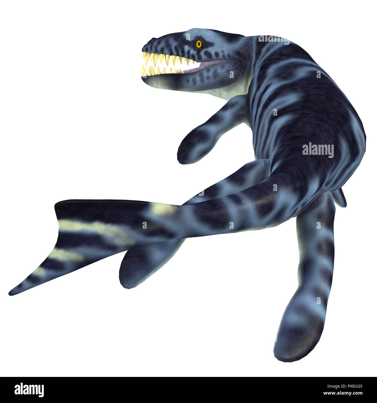 Dakosaurus était un reptile carnivore marin qui vivait dans les mers de l'Europe, le Mexique et l'Argentine durant le Jurassique et le Crétacé. Banque D'Images