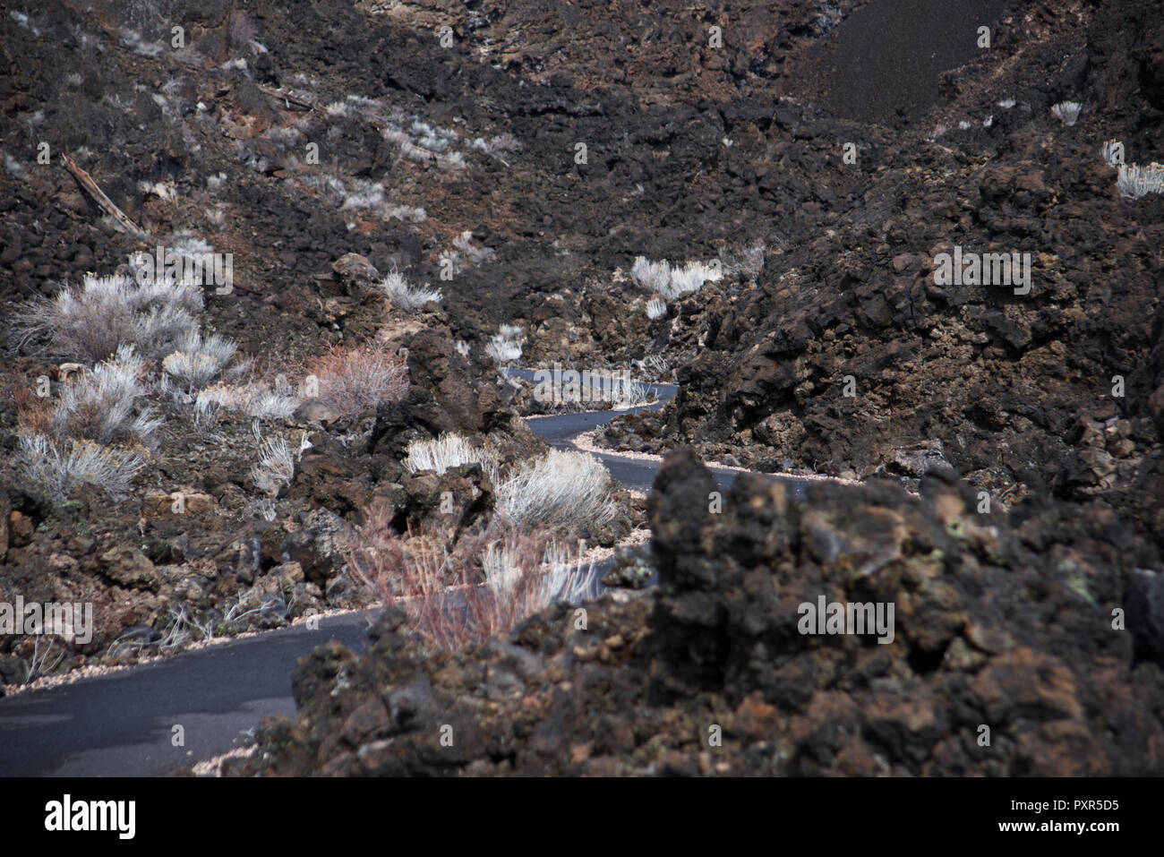 Le sentier de la voie terrestre en fusion sculptée dans la coulée de basalte dans le Monument Volcanique National Newberry près de Bend dans le centre de l'Oregon Banque D'Images