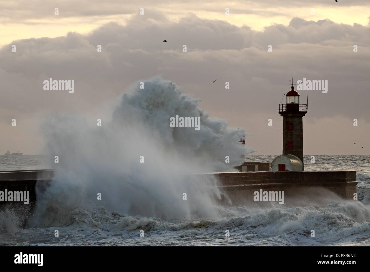 Tempête sur la mer au coucher du soleil - port de l'embouchure de la rivière Douro Banque D'Images