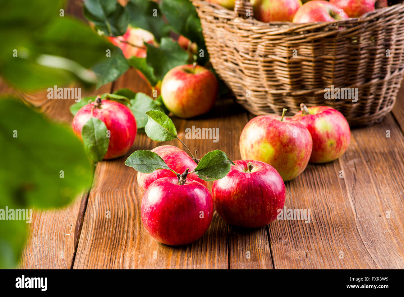 Pommes sur la table Banque D'Images