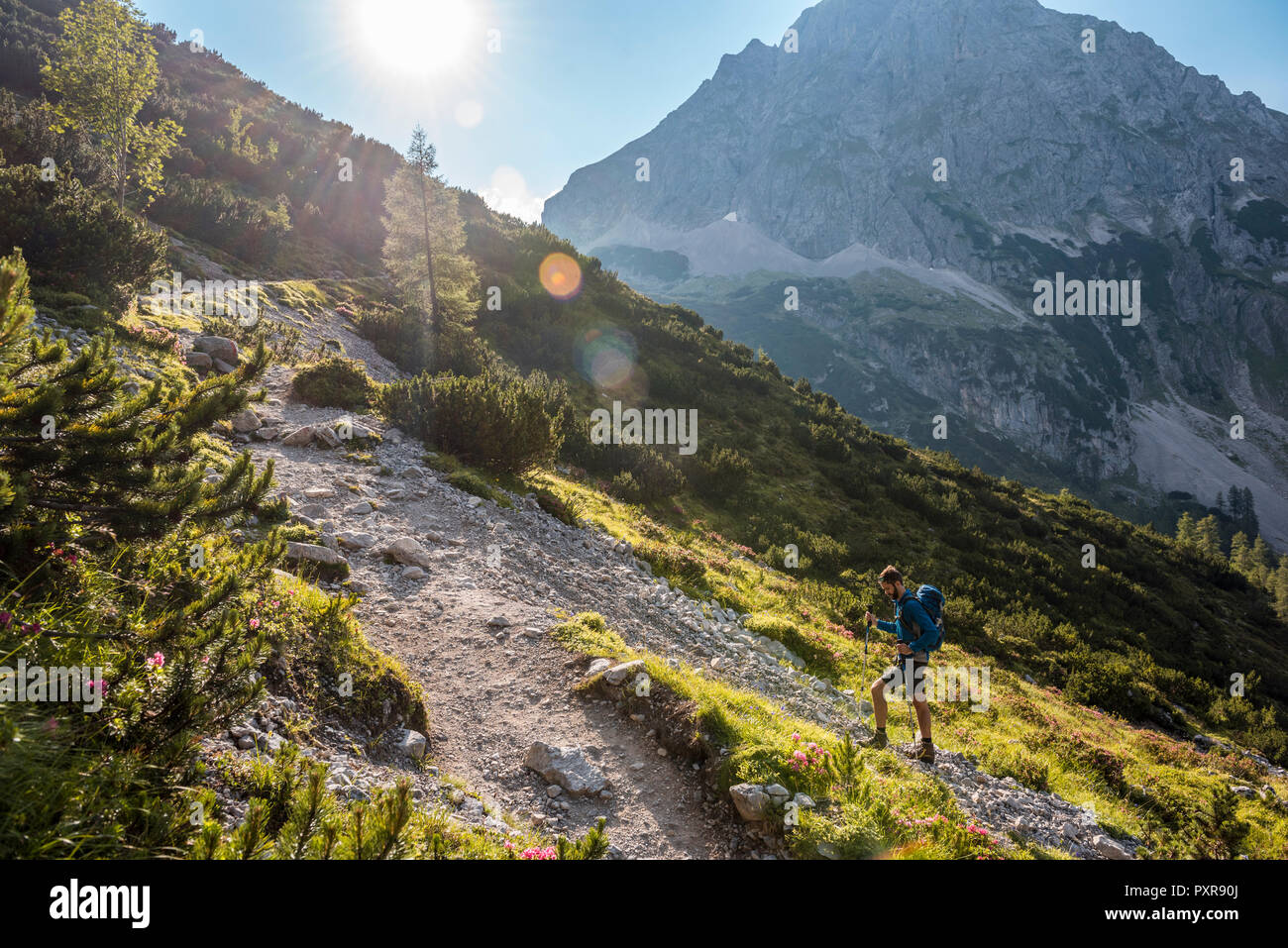 Autriche, Tyrol, jeune homme randonnée en montagne Banque D'Images