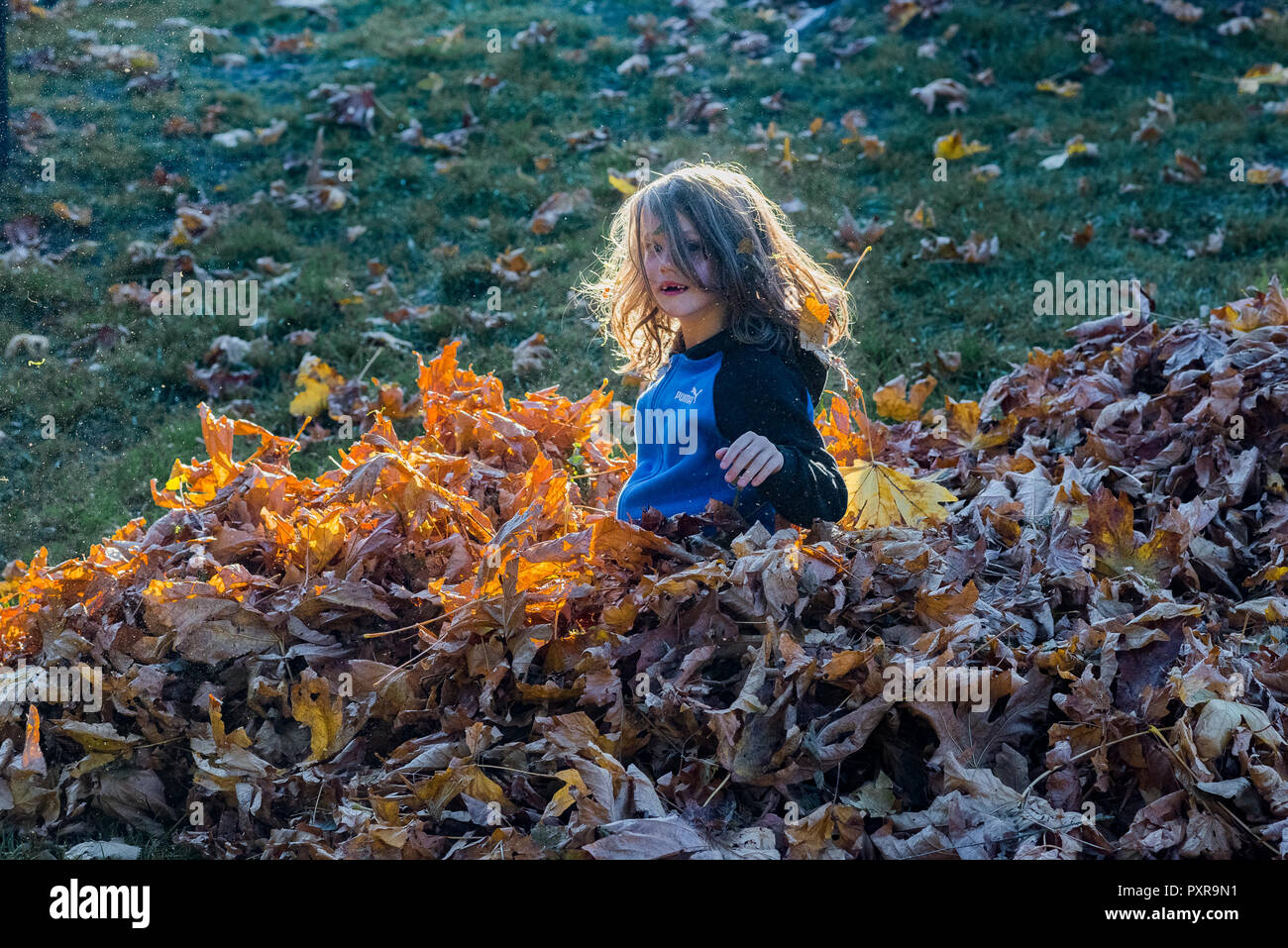 Jeune garçon aux cheveux longs à jouer avec l'automne feuilles d'érable Banque D'Images