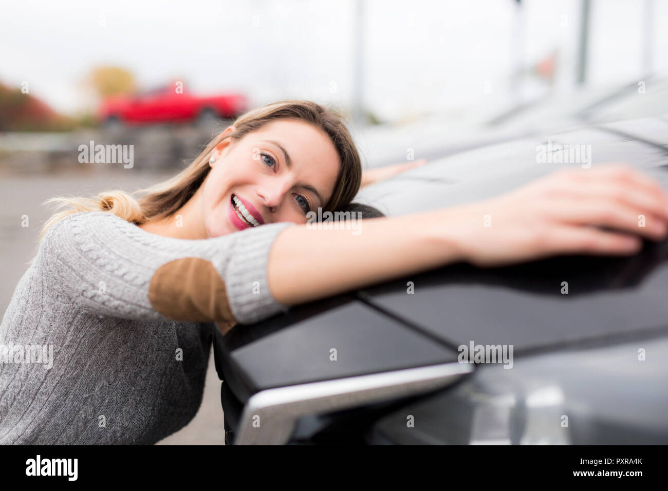 Bouvier Bernois portrait dans l'extérieur Banque D'Images
