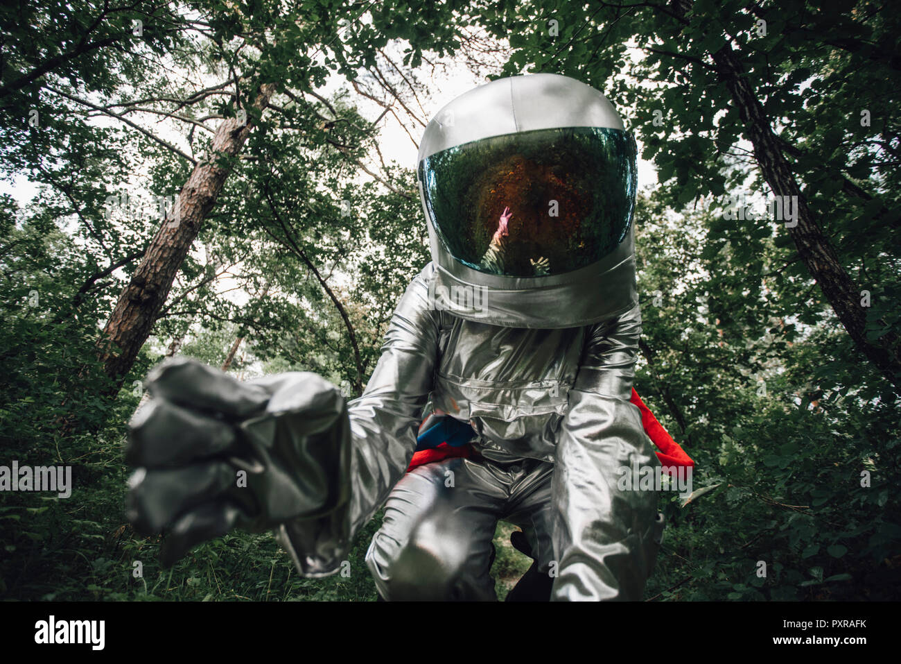 Spaceman explorer la nature, examining plants in forest Banque D'Images
